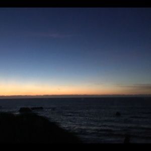 Meet your Posher, Irelynn